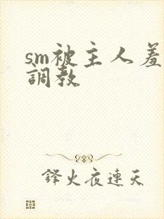 sm被主人羞辱调教