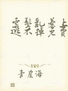 云鬓乱惹上权臣逃不掉免费封面