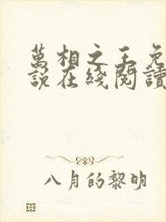 万相之王免费小说在线阅读