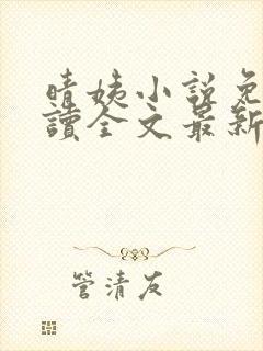 晴姨小说免费阅读全文最新章节