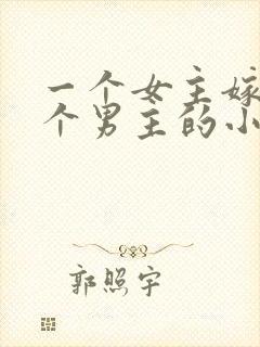 一个女主嫁给多个男主的小说