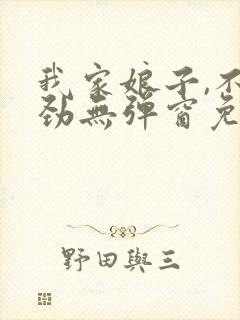 我家娘子,不对劲无弹窗免费下载