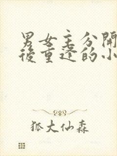 男女主分开多年后重逢的小说