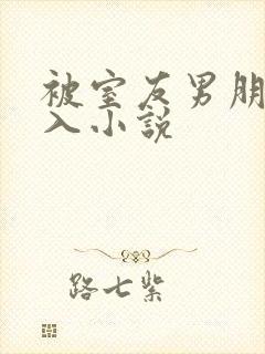 被室友男朋友进入小说