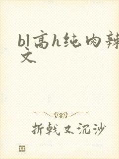 bl高h纯肉辣文