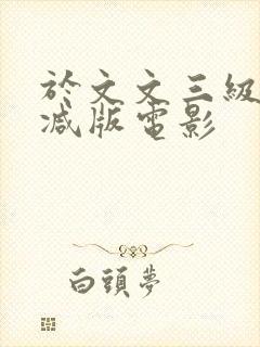 于文文三级未删减版电影