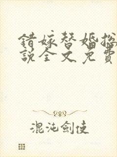 错嫁替婚总裁小说全文免费阅读