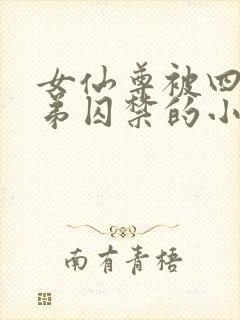 女仙尊被四个徒弟囚禁的小说