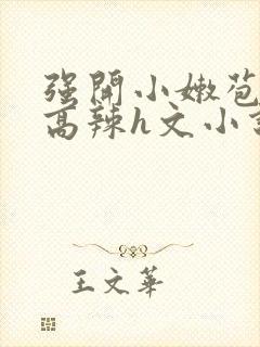 强开小嫩苞h文高辣h文小说