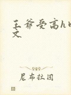 王爷受高h肉辣文