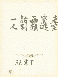 一胎两宝老婆大人别想逃完整版免费阅读