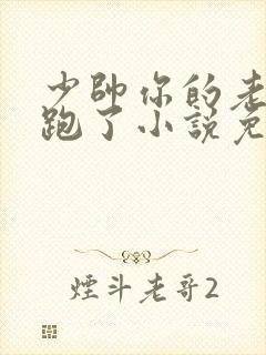 少帅你的老婆又跑了小说免费阅读