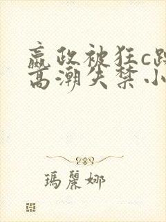 嬴政被狂c躁到高潮失禁小说