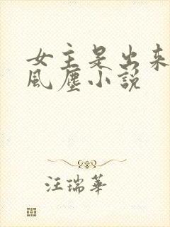 女主是出来卖的风尘小说封面