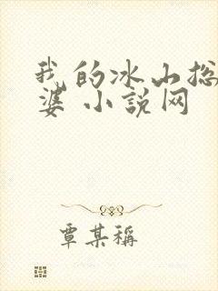 我的冰山总裁老婆 小说网
