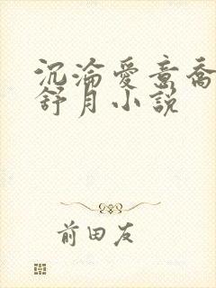 沉沦爱意乔姨孟舒月小说