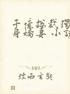 千亿总裁独宠替身娇妻 小说完整板