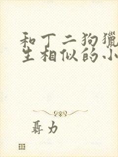 和丁二狗猎艳人生相似的小说