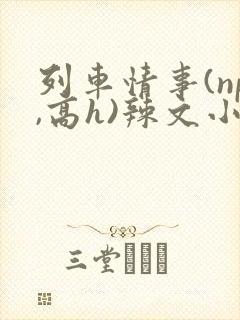 列车情事(np,高h)辣文小