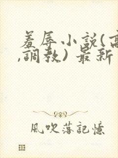 羞辱小说(高h,调教) 最新章节