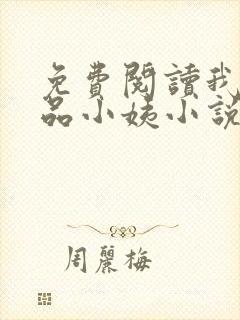 免费阅读我的极品小姨小说封面