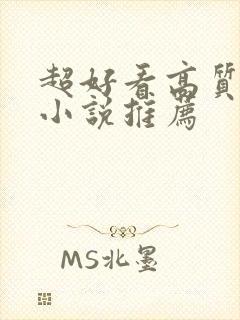 超好看高质量的小说推荐