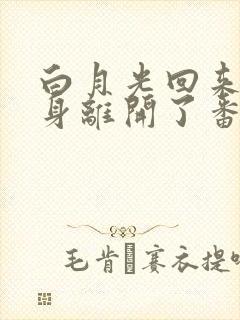 白月光回来后替身离开了番外