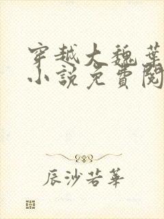 穿越大魏叶离的小说免费阅读