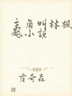 主角叫林枫的穿越小说