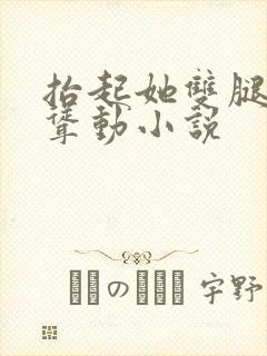 抬起她双腿疯狂耸动小说封面