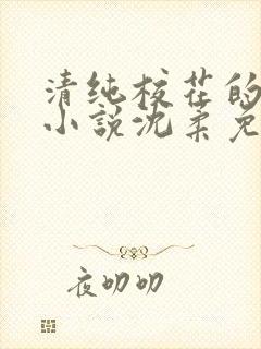 清纯校花的日常小说沈柔免费阅读