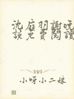 沈庭羽谢晚晚小说免费阅读最新章节