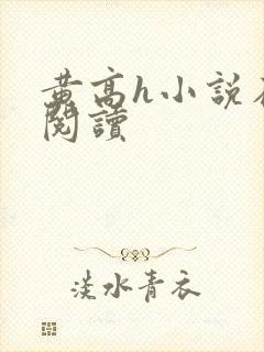 黄高h小说在线阅读封面