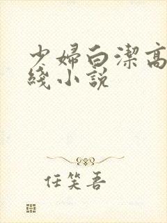 少妇白洁高义在线小说
