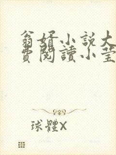 翁婿小说大全免费阅读小莹