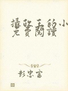 摄政王的小宠妃免费阅读