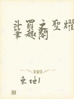斗罗之圣耀本体笔趣阁