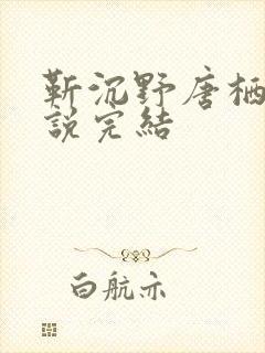靳沉野唐栖雾小说完结封面