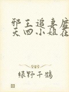 邪王追妻废材逆天四小姐在线阅读封面