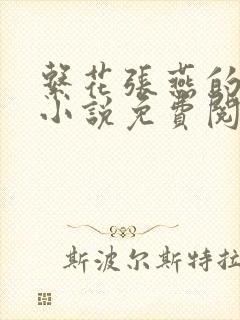 系花张燕的日记小说免费阅读