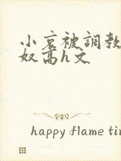 小哀被调教成肉奴高h文