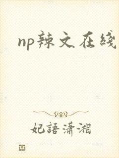 np辣文在线