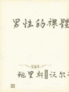 男性的裸体视频