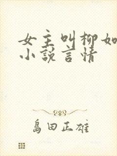 女主叫柳如烟的小说言情封面