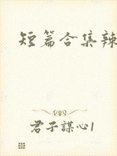 短篇合集辣文h封面