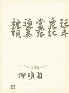 被迫当众玩弄奶头暴露玩弄小说