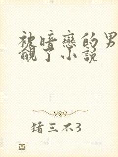 被暗恋的男神觊觎了小说