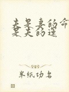 夫是妻的命,妻是夫的运封面