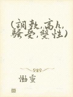 (调教,高h,骚受,双性)