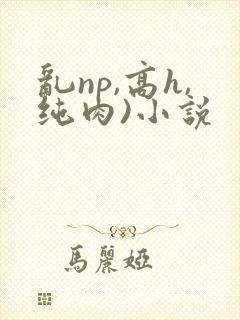 乱np,高h,纯肉)小说